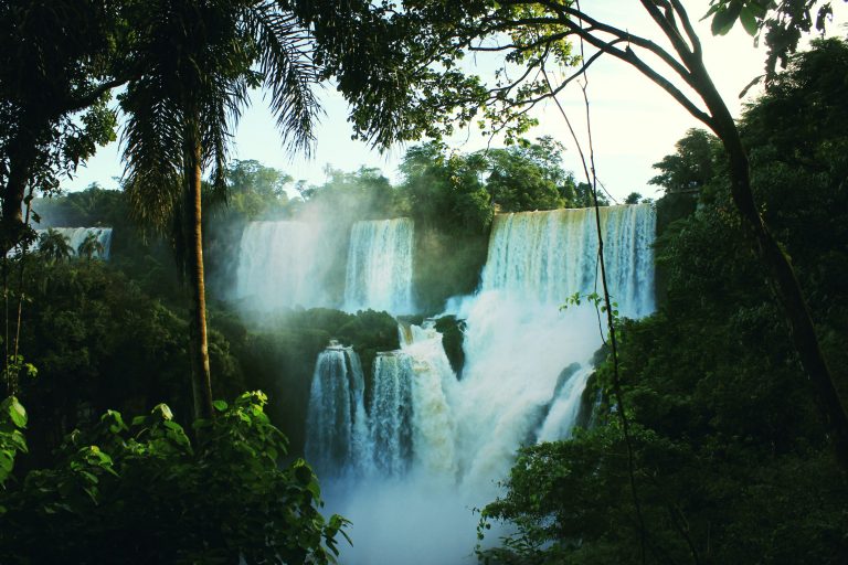 Campaña de vacunación para el sector turístico en Iguazú